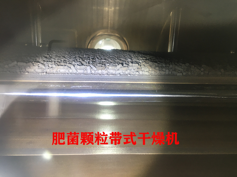 肥菌颗粒带式干燥机